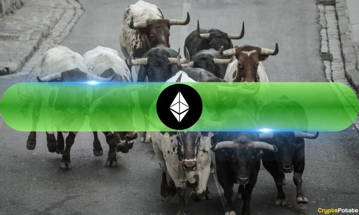 Ethereum_Bulls.jpg