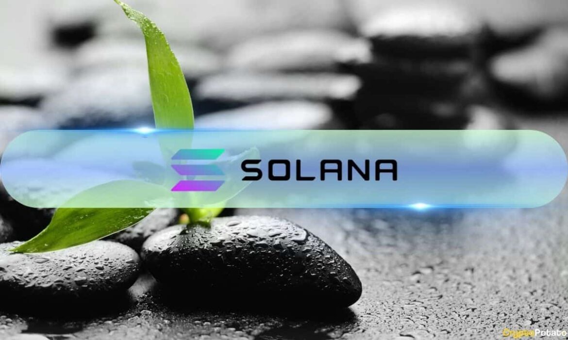Solana_Growth.jpg