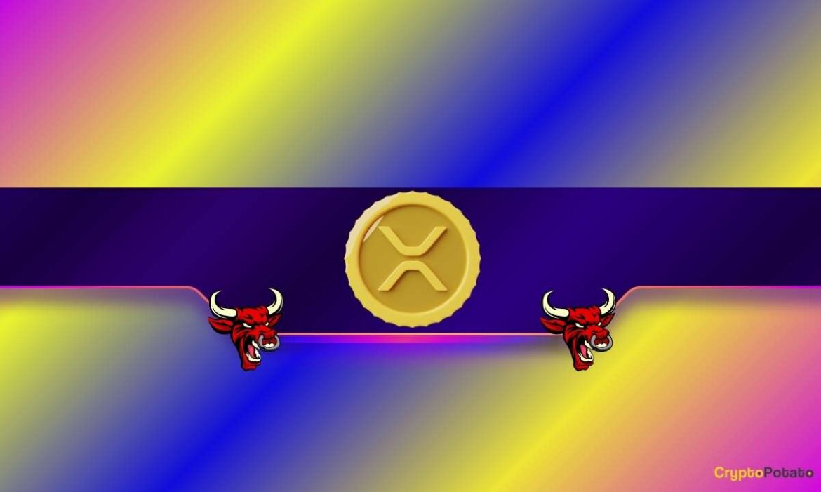 XRP_CB-3.jpg